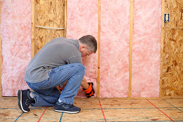 Best Insulation Installation Services in Lake Brownwood, TX